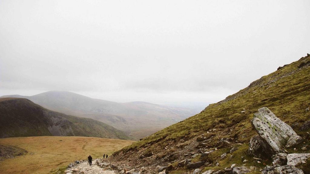 다이어트 보조제 부작용 후기 비교