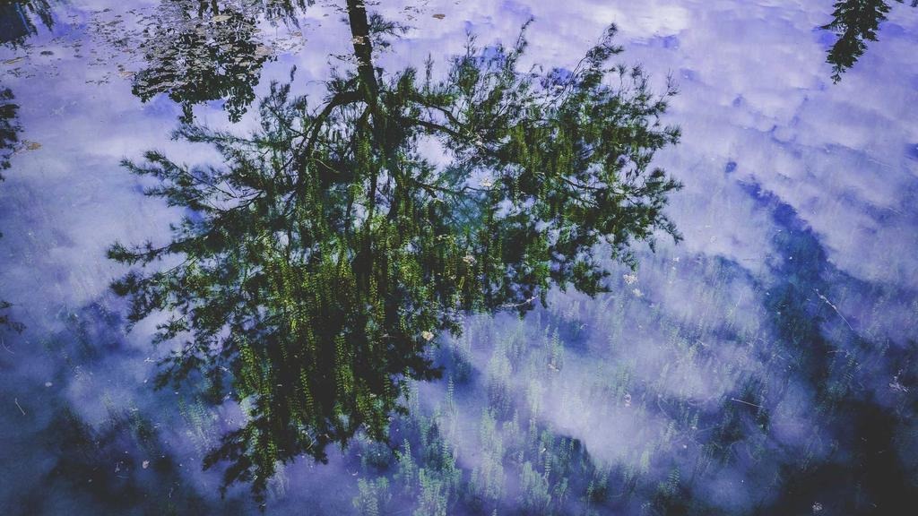 중소기업 기술보호 보안솔루션 추천