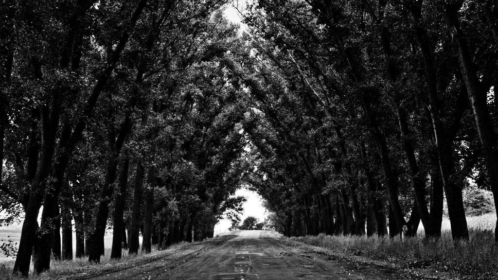 건강보험 진료비 본인부담 상한제 신청