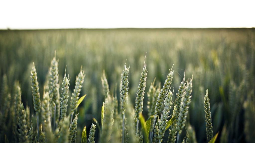 탈모약 보험 적용 시 가격 비교